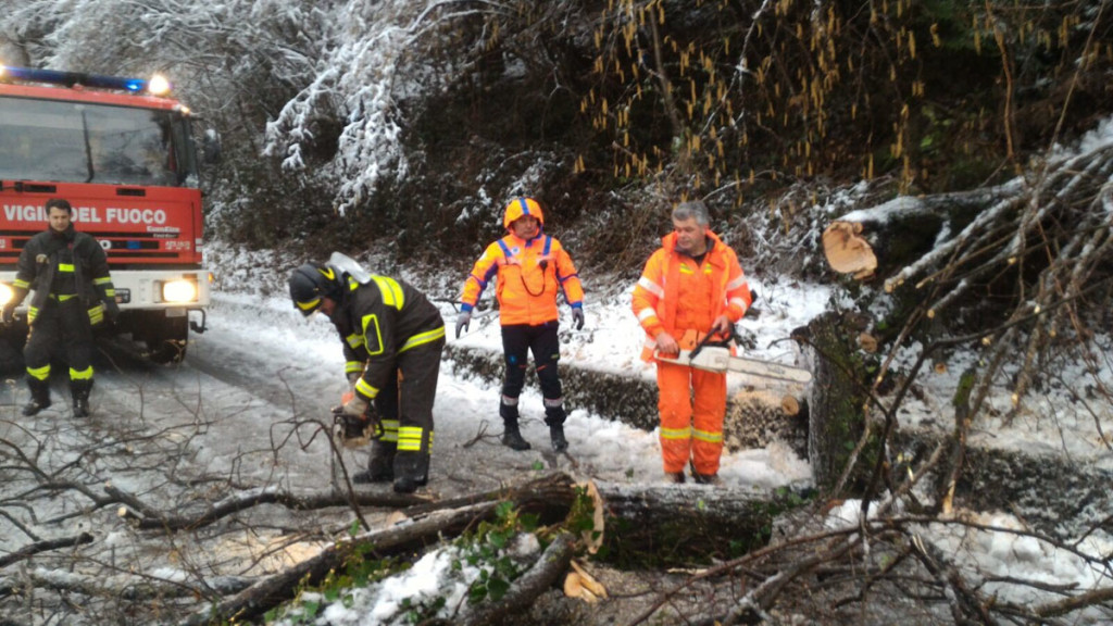 Vigili del Fuoco e Croce Blu di Gromo al lavoro per la rimozione dell'albero finito sulla strada tra Gromo e Valgoglio