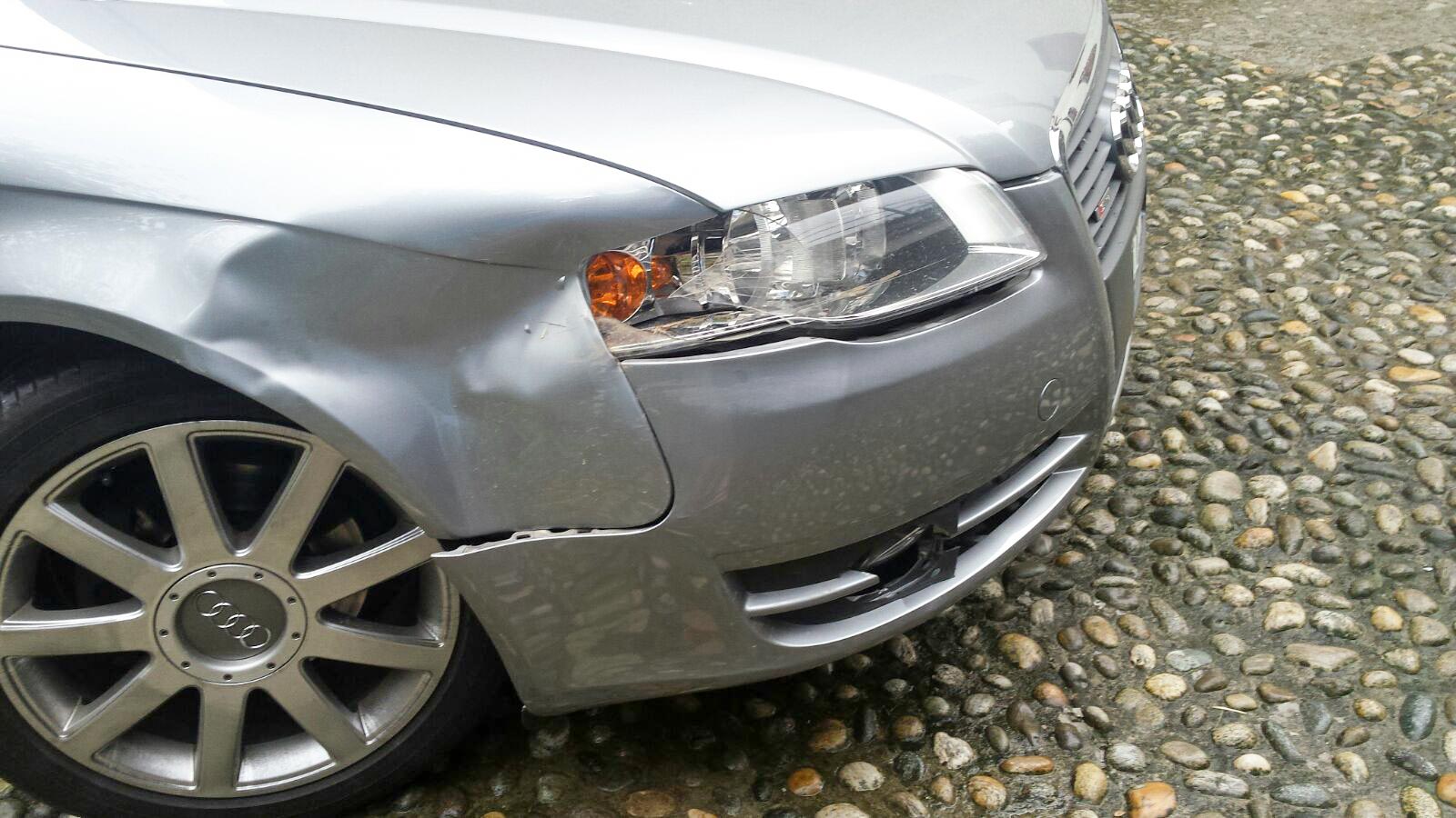 Auto danneggiata da cervo