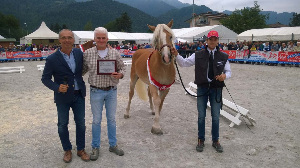 Clusone, Patelli riceve un riconoscimento per Atos, detentore del titolo mondiale per la morfologia