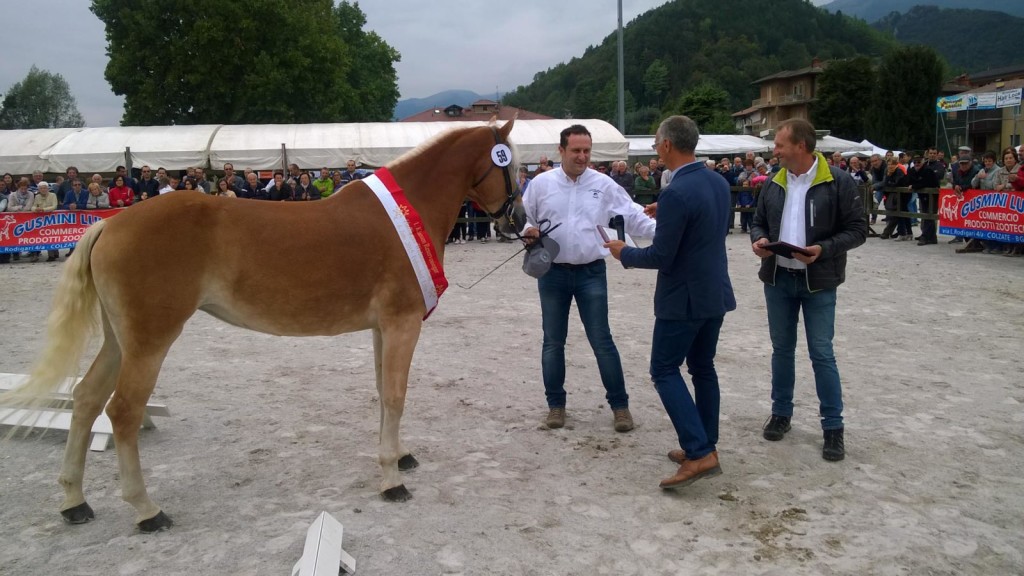 Giancarlo Gigatti premiato per Pandora