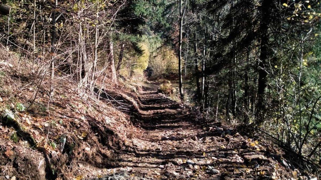 Un'altra immagine della strada