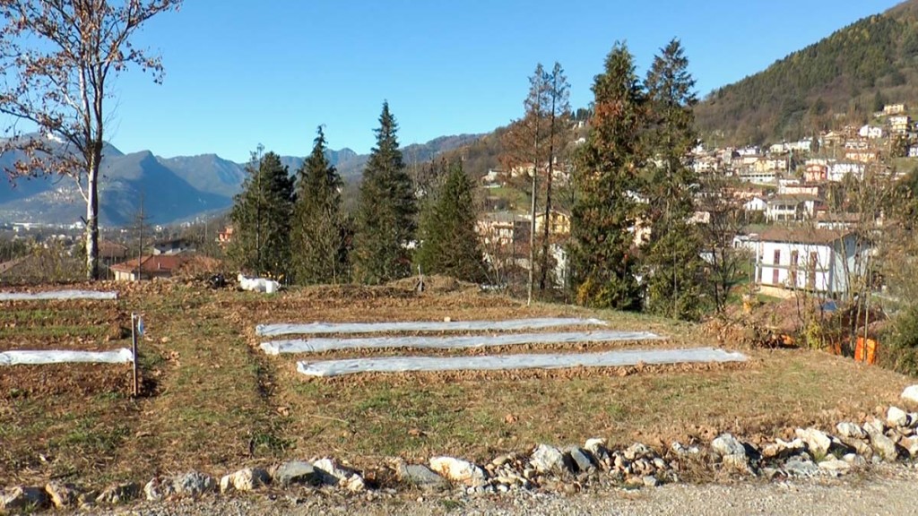 Orto Gandino