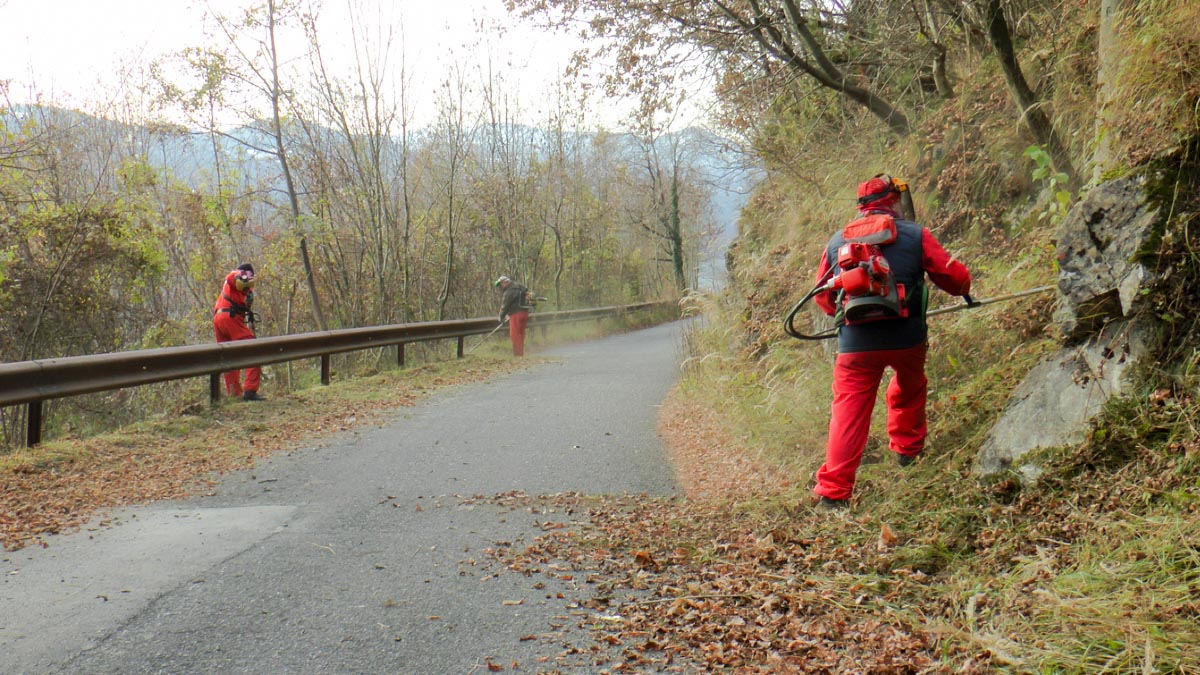 Strada del Farno