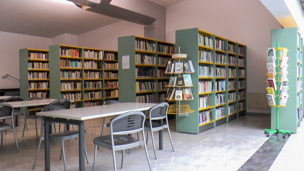 Biblioteca Albino