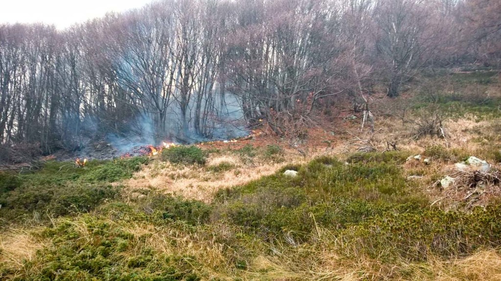 L'incendio boschivo in quota