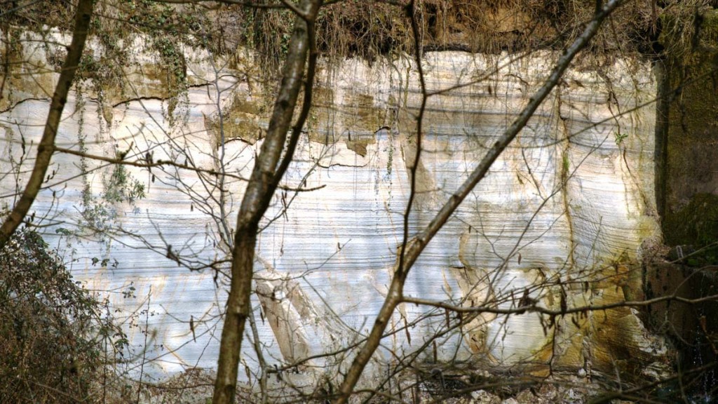 Un'altra immagine delle rocce nel sito del Rio Re (foto di Bepi Rottigni)