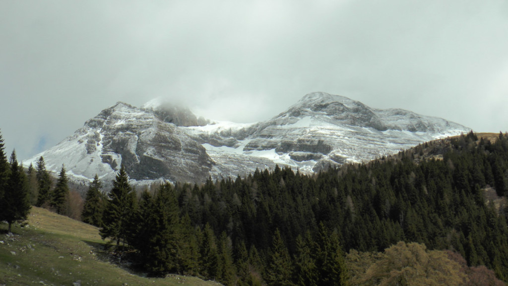 Ferrante e Ferrantino visti dalla Verzuda