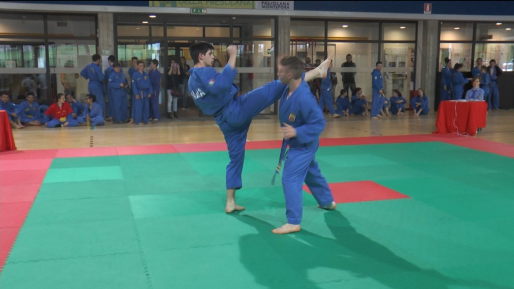 Vovinam Việt Võ Ðạo