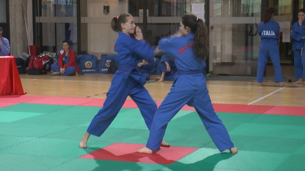 Vovinam Việt Võ Ðạo