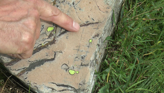 Oltre alle triplici cinte si trovano anche altri simboli come le scale