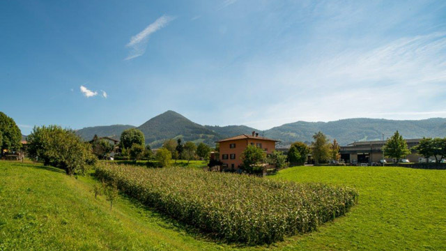 mais-spinato-di-gandino-19-2
