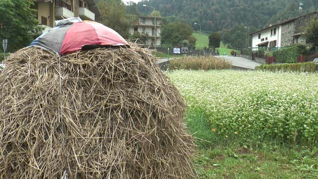 covone-di-paglia-in-localita-candrietti-a-piario