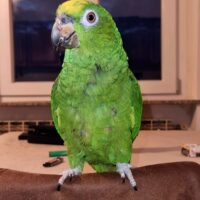 Thumbnail for the listing's main image